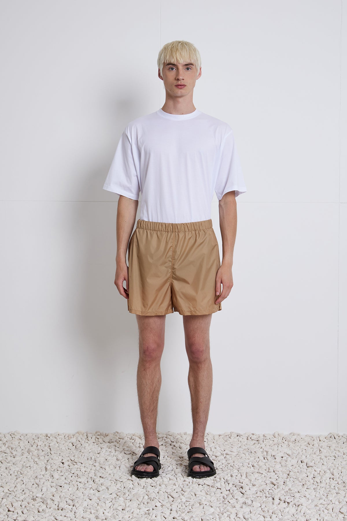 cammello
