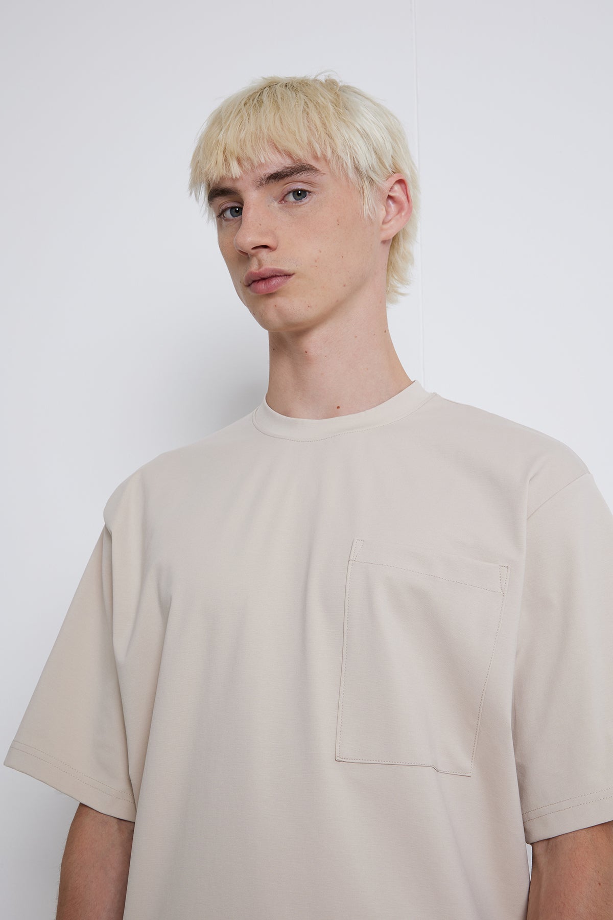 safari